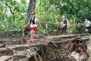 BIB: 
                            <button type="button" onclick="openModal(27718730)" class="btn btn-primary btn-sm float-right btn-popup" data-toggle="modal" data-target=".modal-high-quality">
                        <i class="fas fa-shopping-cart"></i> Add to Cart
                    </button>
                                            <button type="button" onclick="isThisMe(27718730, true)" class="btn btn-success btn-sm float-right btn-popup btn-isme hidden" data-toggle="tooltip" data-placement="bottom" title="นี่คือรูปของคุณใช่ไหม คลิกที่นี่เพื่อเอาเข้าอัลบั้ม">
                        <i class="fas fa-plus"></i> Add to album
                    </button>
                    <button type="button" onclick="isThisMe(27718730, false)" class="btn btn-warning btn-sm float-right btn-popup btn-isnotme hidden">
                        <i class="fas fa-ban"></i> Remove from album
                    </button>